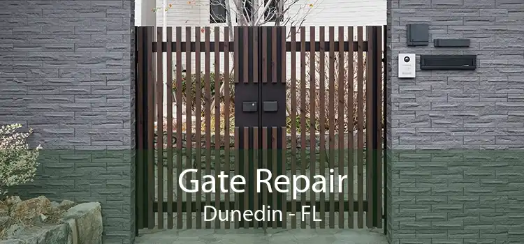 Gate Repair Dunedin - FL